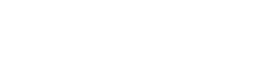 VONA TAXI & TRANSPORTS